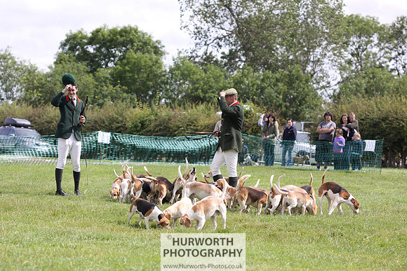 Sedgefield Game Fair 197