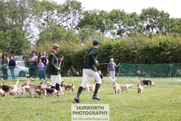 Sedgefield Game Fair 200