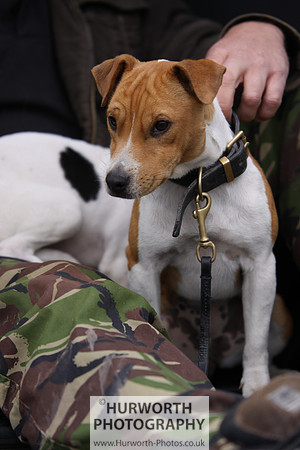Sedgefield Game Fair 040