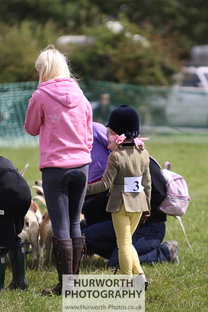 Sedgefield Game Fair 239
