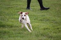 Sedgefield Game Fair 018