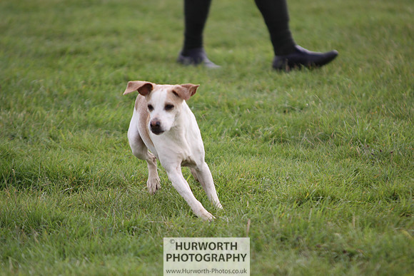 Sedgefield Game Fair 018