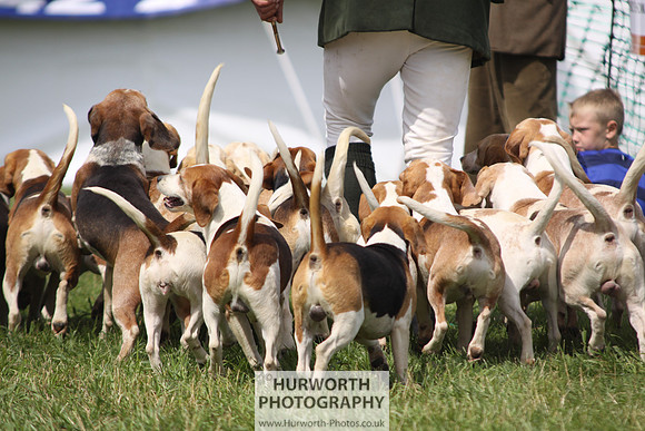 Sedgefield Game Fair 193