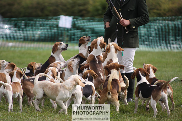 Sedgefield Game Fair 209