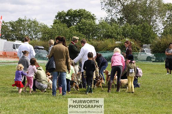 Sedgefield Game Fair 238