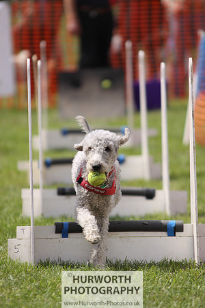 Sedgefield Game Fair 111