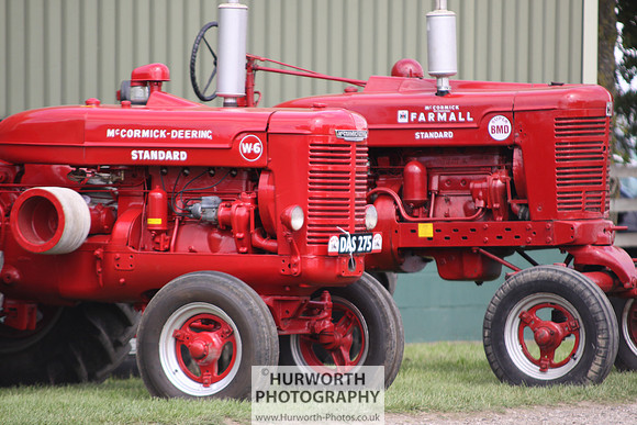 Sedgefield Game Fair 256