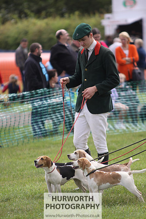 Sedgefield Game Fair 013