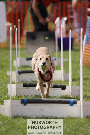 Sedgefield Game Fair 113