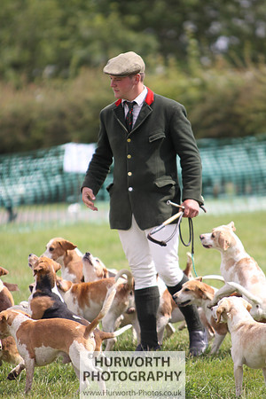 Sedgefield Game Fair 225