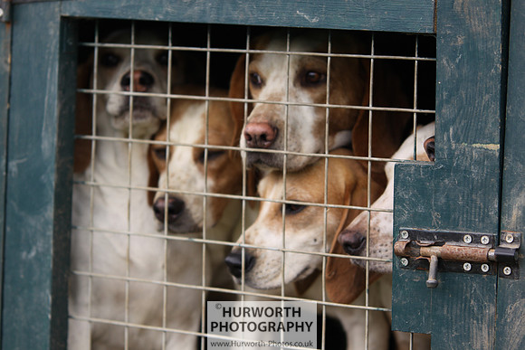 Sedgefield Game Fair 028
