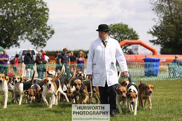 Sedgefield Game Fair 168