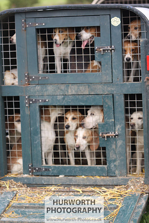 Sedgefield Game Fair 033