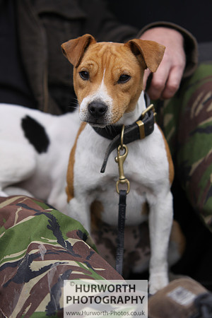 Sedgefield Game Fair 041