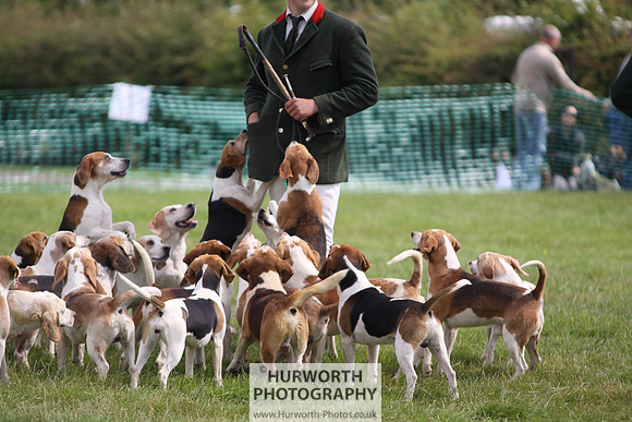 Sedgefield Game Fair 208