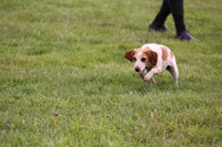 Sedgefield Game Fair 005