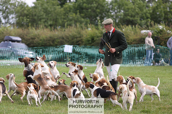 Sedgefield Game Fair 214