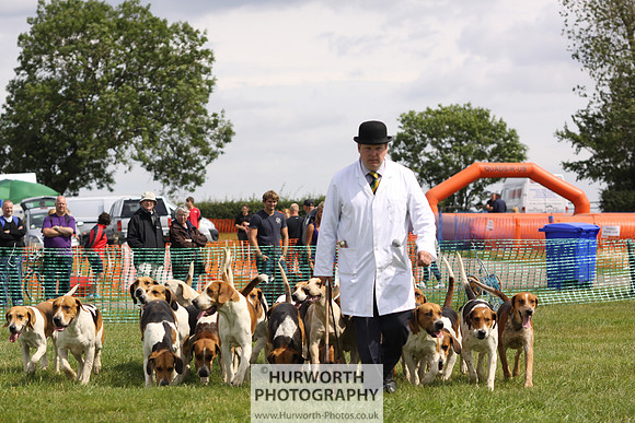 Sedgefield Game Fair 167