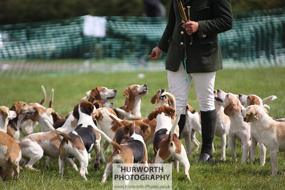 Sedgefield Game Fair 220