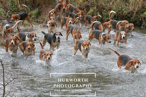 Hurworth Hunt 368