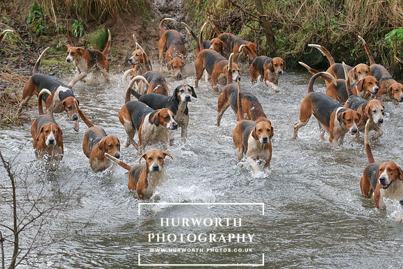 Hurworth Hunt 372