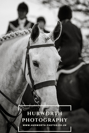 Hurworth Hunt 292
