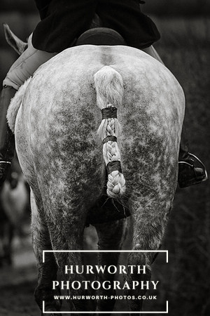 Hurworth Hunt 373
