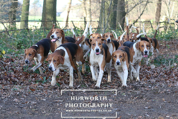 Hurworth Hunt 314