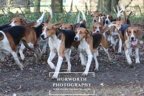 Hurworth Hunt 317