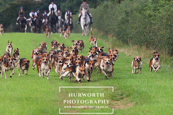 Hurworth Hunt 420