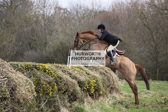 Hurworth Hunt Hedge Hop 078