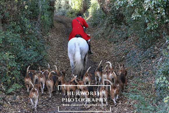 Huworth Hunt 259