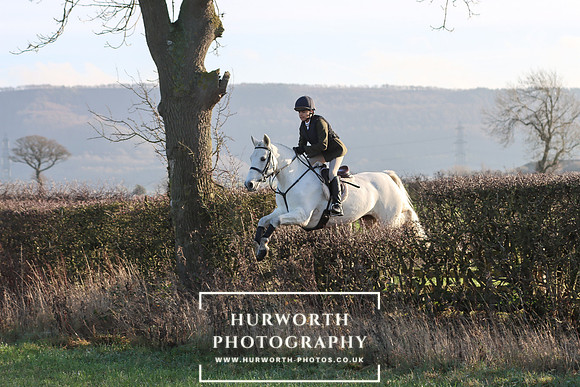 Hurworth Hunt 207