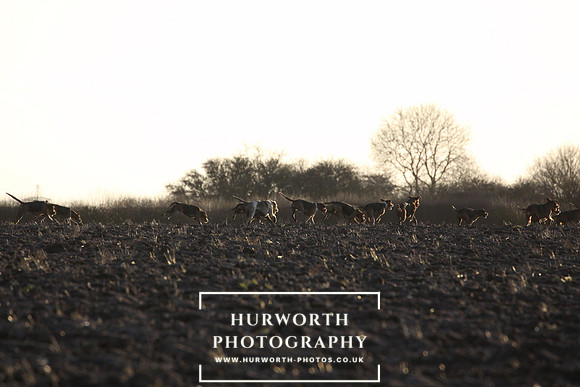 Hurworth 0183