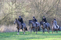 Hurworth Hunt 310