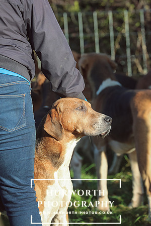 Hurworth Hunt 79