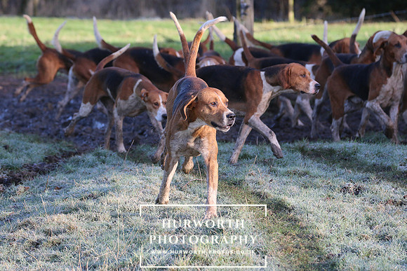 Hurworth Hunt 144