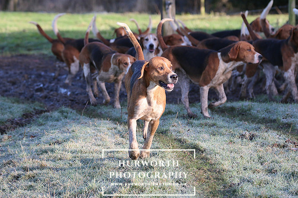 Hurworth Hunt 145