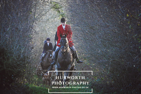 Hurworth Hunt 319