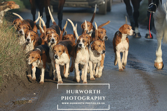 Hurworth Hunt 19
