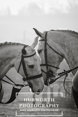 Hurworth Hunt 55