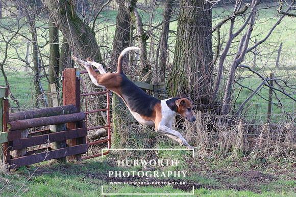 Hurworth Hunt 97