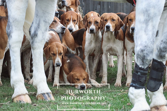 Hurworth Hunt 51