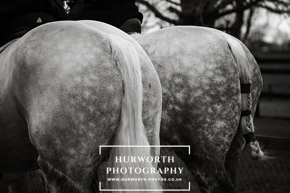 Hurworth Hunt 93