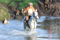 Hurworth Hunt 660
