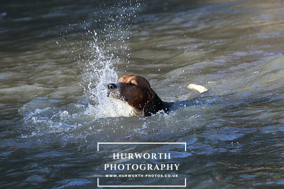 Hurworth Hunt 689