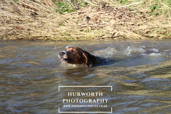 Hurworth Hunt 691