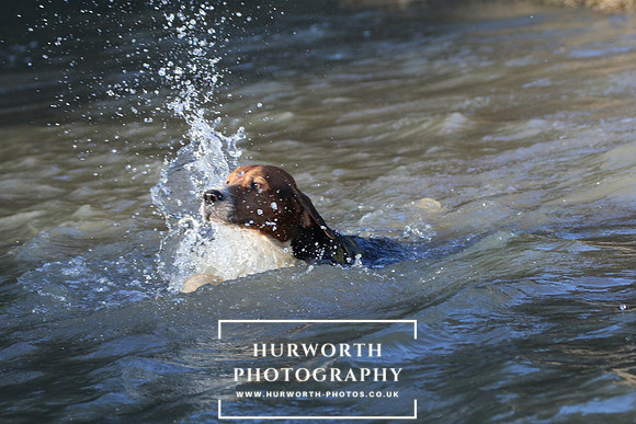 Hurworth Hunt 690