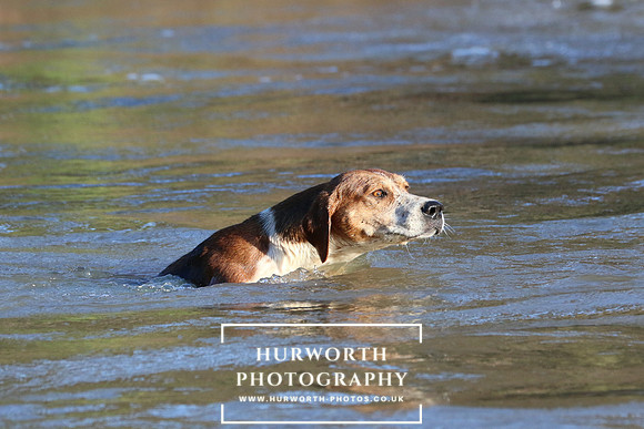 Hurworth Hunt 678