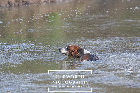Hurworth Hunt 617
